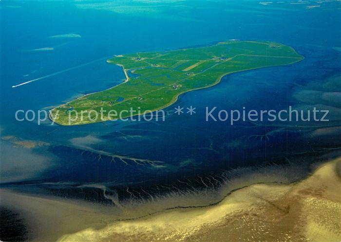 Hallig Hooge Fliegeraufnahme Japsand
