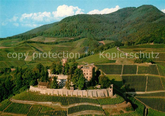 Ortenberg Baden Schloss Weinberge Fliegeraufnahme