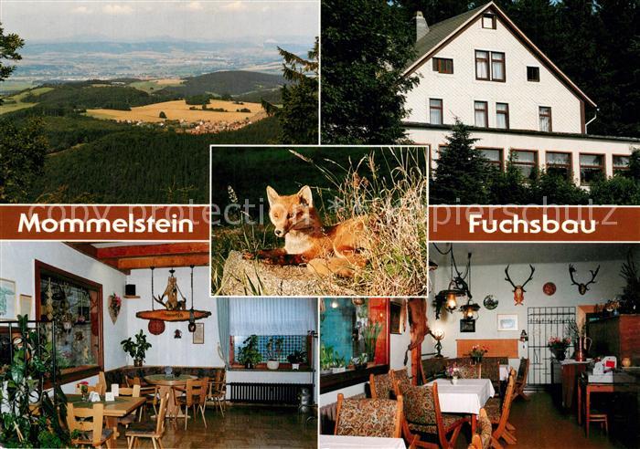 Brotterode Berggaststaette Zum Fuchsbau Mommelstein Landschaftspanorama