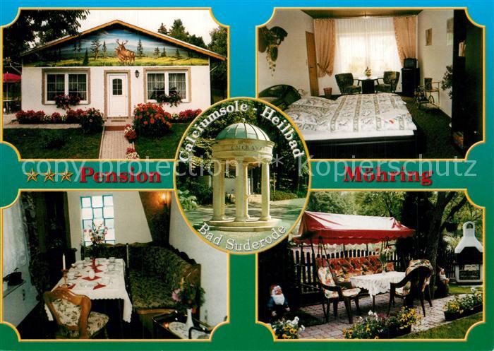 Bad Suderode Pension Moehring Ferienwohnungen Heilbad Calciumsole