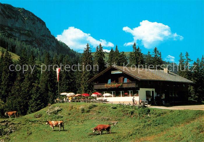 Thiersee Berggasthof Ackernalm Almvieh Kuehe Alpen