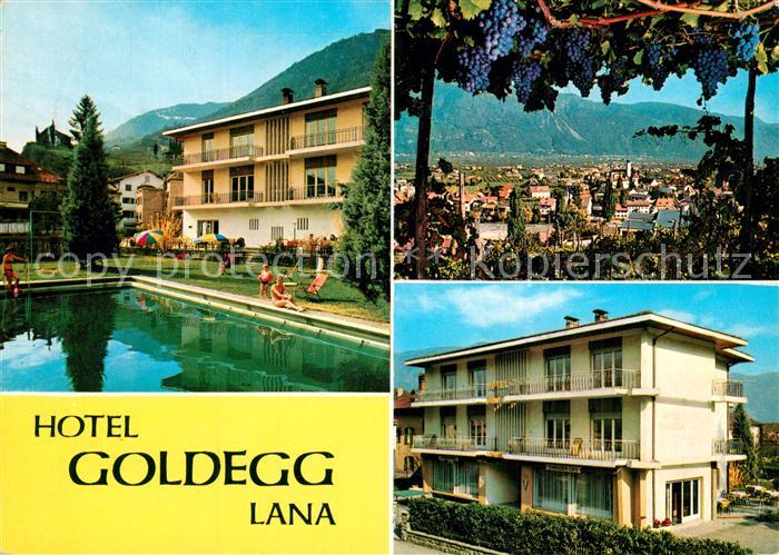 Lana Meran Hotel garni Goldegg Swimming Pool Stadtpanorama Weintrauben