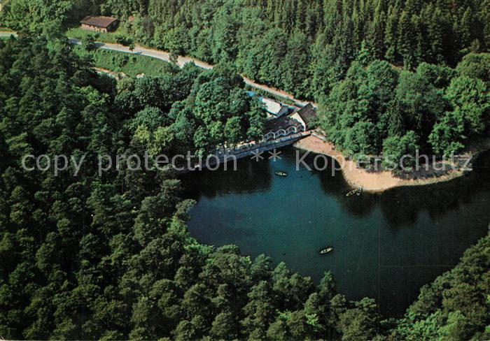 Weidenthal Pfalz Forellenhaus Isenach Cafe Restaurant Waldsee Pfaelzer Wald Flie