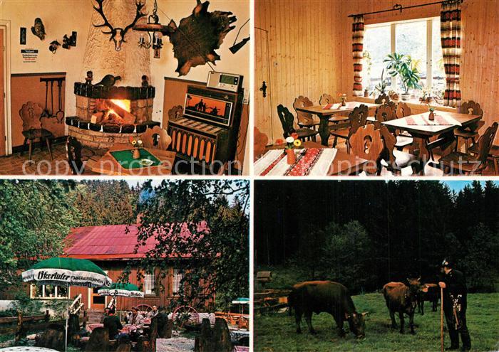 St Andreasberg Harz Waldgaststaette Rinderstall Rinder