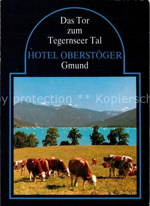Gmund Tegernsee Hotel Oberstoeger Kuehe See