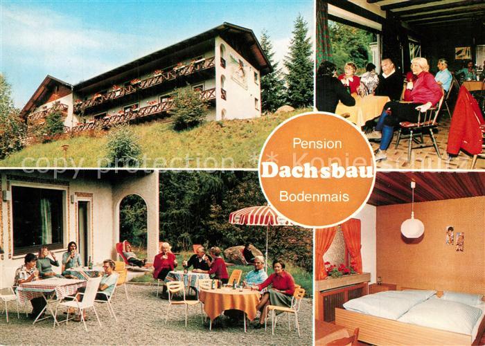 Bodenmais Pension Dachsbau