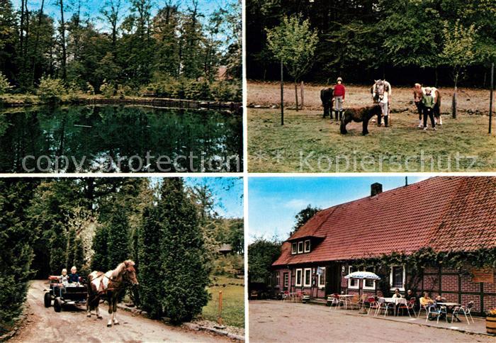 Harber Moor Urlaub auf dem Bauernhof Pension Willenbockel Ponys Ponykutsche Teic