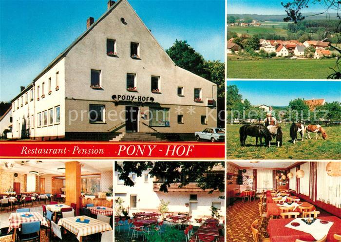Zintlhammer Hotel Pension Ponyhof Restaurant Weiden Landschaftspanorama