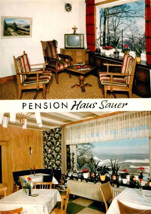 Attendorn Pension Haus Sauer Wallburg Jaeckelchen