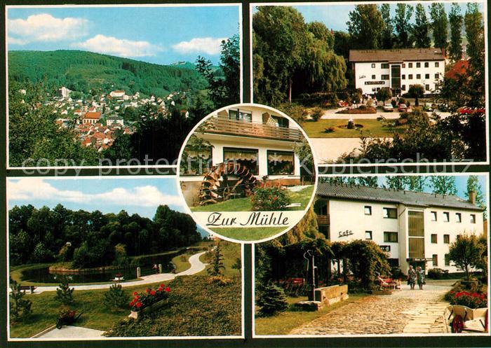 Bad Brueckenau Hotel Restaurant Cafe Zur Muehle Park Panorama