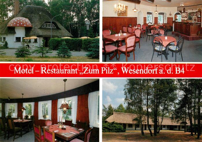 Wesendorf Niedersachsen Motel Restaurant Zum Pilz Gastraeume
