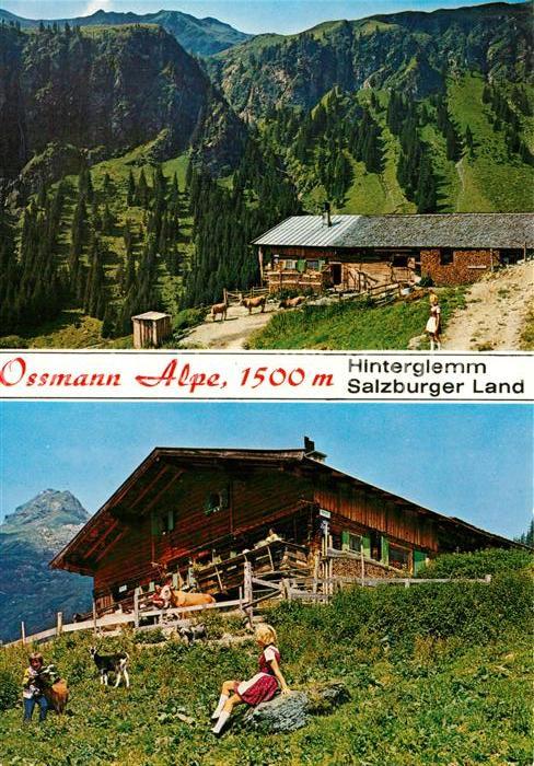 Hinterglemm Saalbach Ossmann Alpe Ausflugsziel Alpen