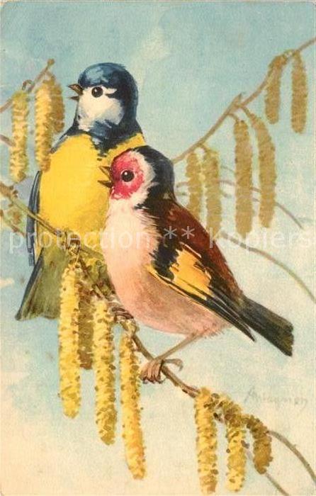 Voegel Birds Oiseaux Uccelli Pajaros-- Blaumeise Rotkehlchen Kuenstlerkarte