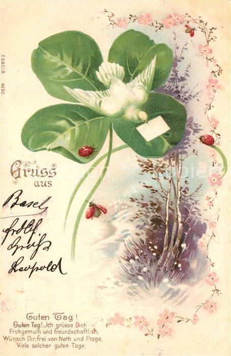 Brieftaube Carrier Pigeon voyageur Kleeblatt Marienkaefer Litho Gedicht