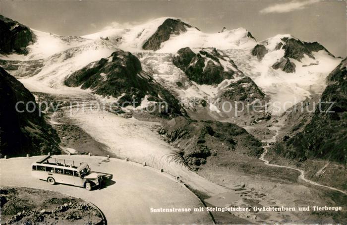 Gletscher Steingletscher Sustenstrasse Gwächtenho