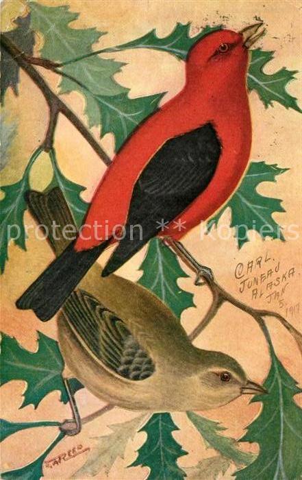 Voegel Birds Oiseaux Uccelli Pajaros-- Scarlet Tanager Kuenstlerkarte