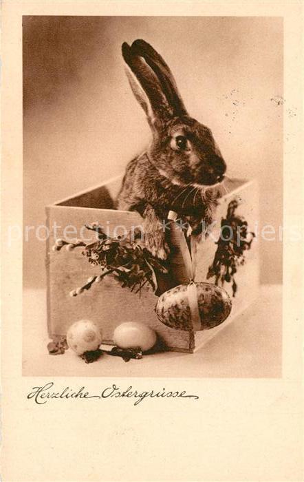 Ostern Easter Paques Hase Ostereier Weidenkaetzchen