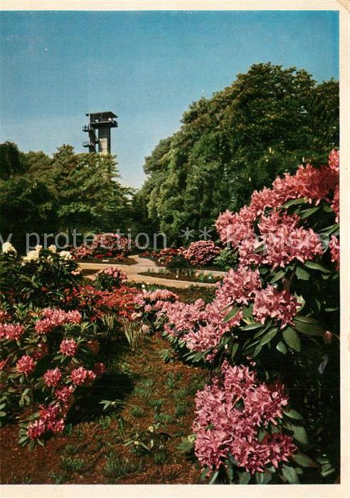 Gartenbauaustellung Hamburg Staudengarten