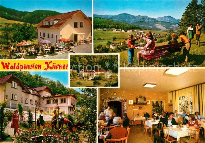 Prigglitz Waldpension Kuerner Panorama Garten Gastraum