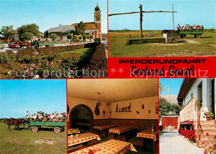 Illmitz Pferderundfahrt Gangl Gasthof Gaststube