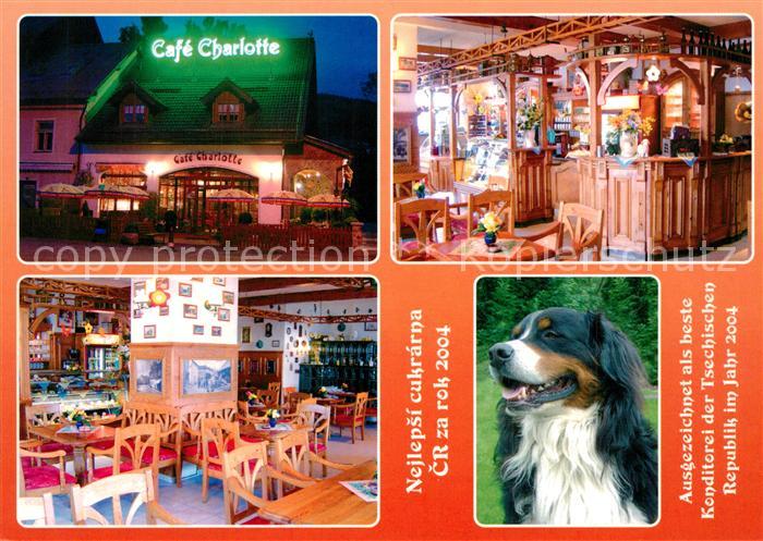 Zelezna Ruda Markt Eisenstein Cafe Charlotte Gastraeume Collie