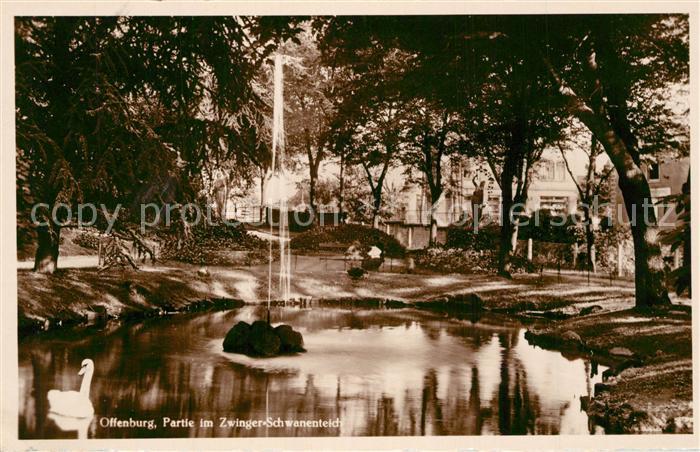 Offenburg Zwinger Schwanenteich
