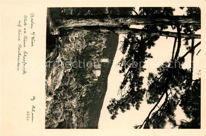 Baden Wien Ruine Rauhenstein