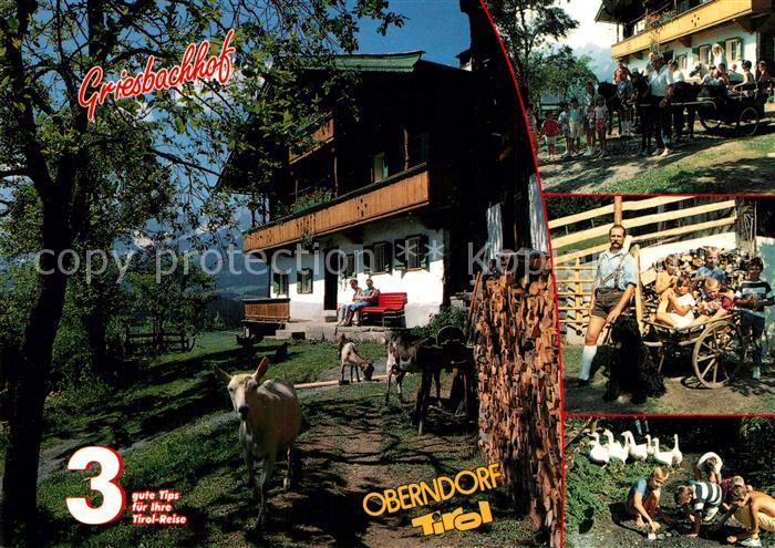 Oberndorf Tirol Griesbachhof