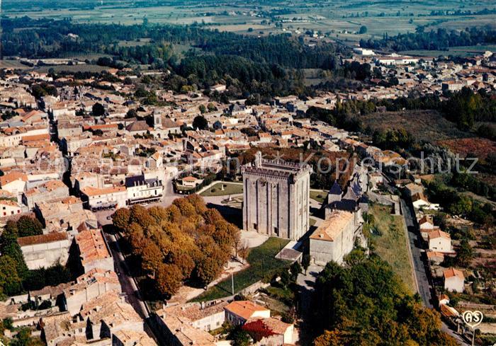 Pons Fliegeraufnahme