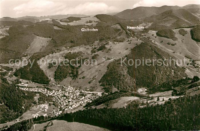Todtnau Gisiboden Hasenhorn Fliegeraufnahme