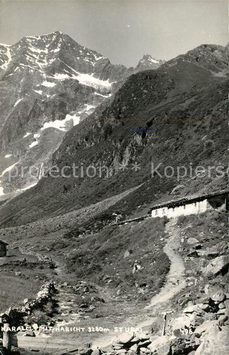 Stubaital Karam mit Habicht