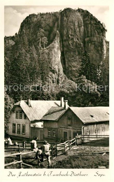 Tambach-Dietharz Der Falkenstein