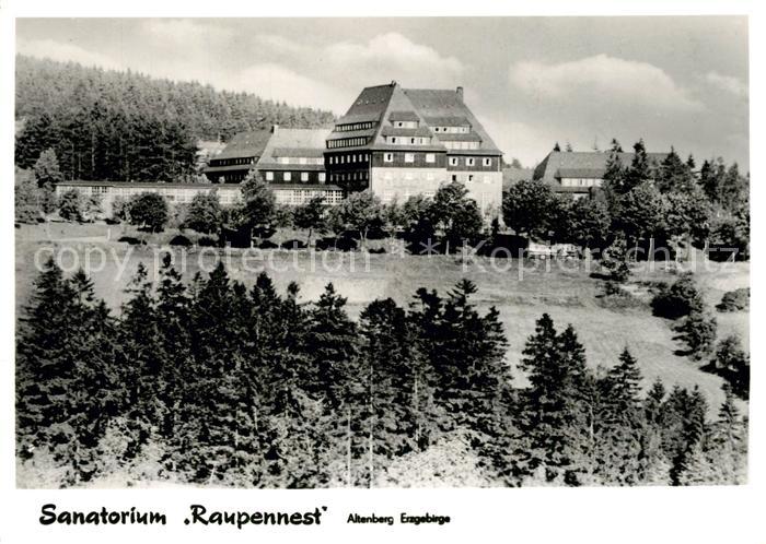 Altenberg Erzgebirge Sanatorium Raupennest