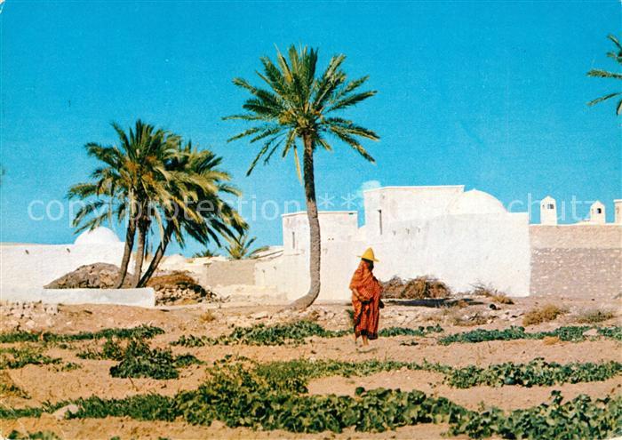 Jerba Habitat traditionnel