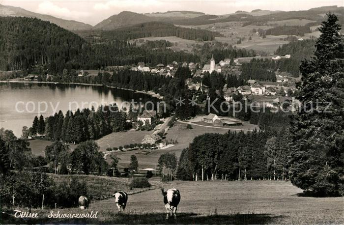Titisee Panorama