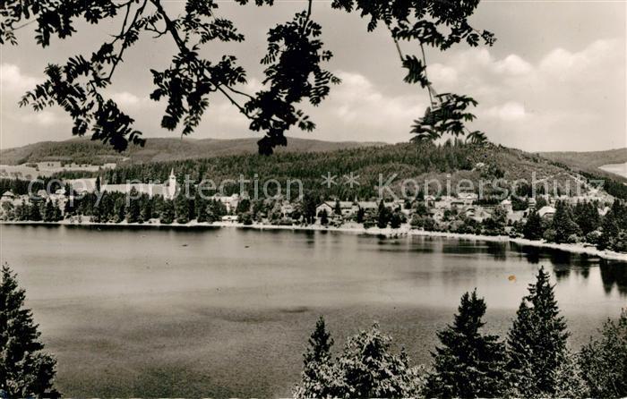 Titisee Blick von der Feldbergstrasse