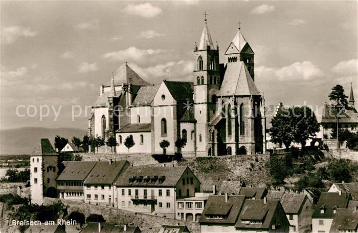 Breisach Rhein Muenster