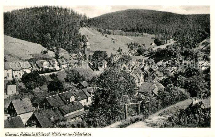 Wildemann Ortsansicht