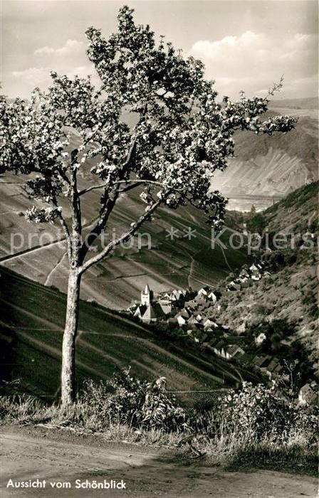 Bacharach Rhein Aussicht vom Schoenblick