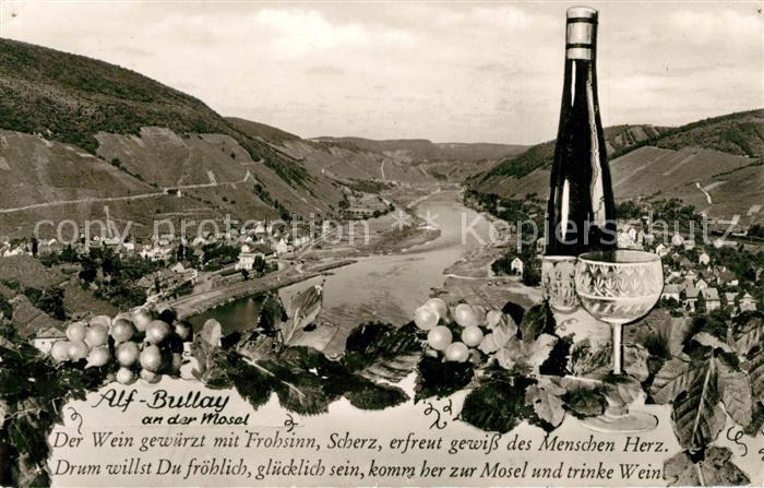 Alf Mosel mit Bullay Moselpartie