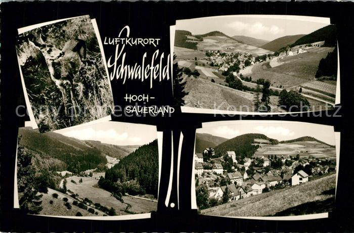 Schwalefeld Panorama Teilansicht Reh