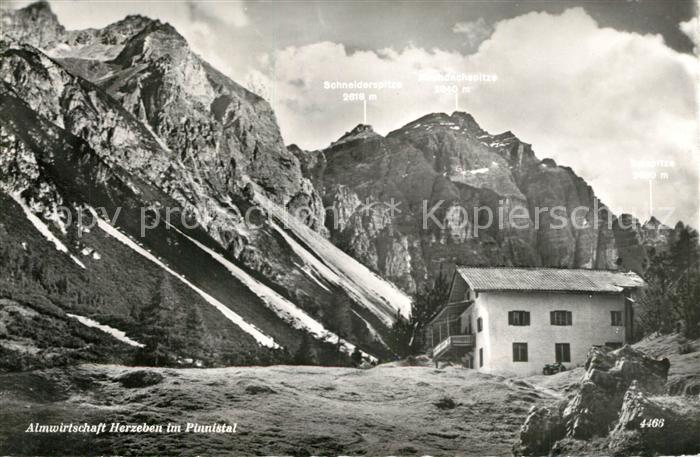 Herzebenalm im Pinnistal