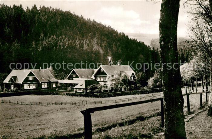 Daun Eifel Eifelheim