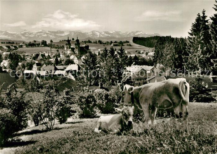 Lindenberg Allgaeu Panorama