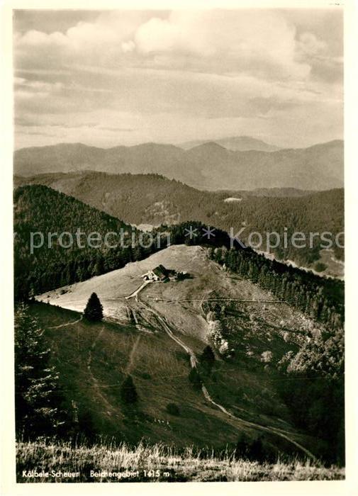 Kaelbelescheuer Fliegeraufnahme