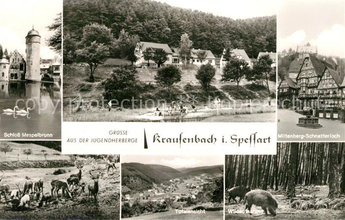 Krausenbach Jugendherberge Landschaftspanorama Schloss Mespelbrunn Wild Miltenbe