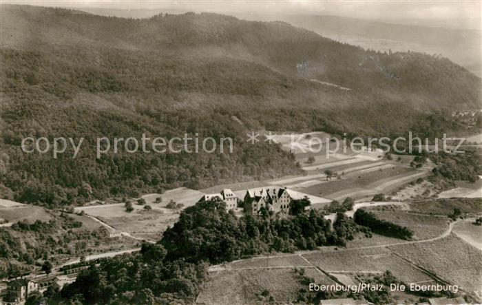 Ebernburg Fliegeraufnahme