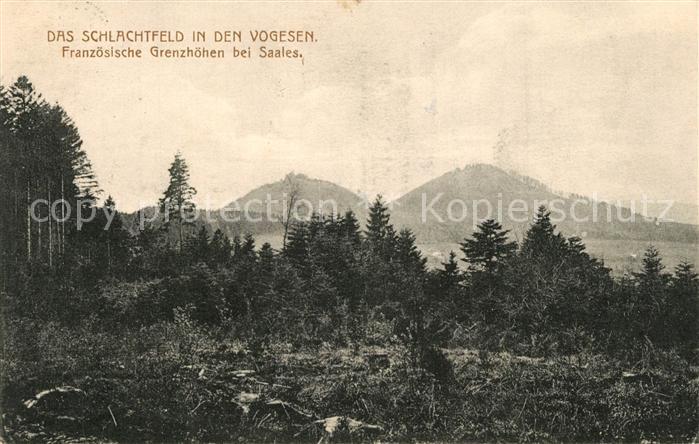 Saales Schlachtfeld der Vogesen 1. Weltkrieg F