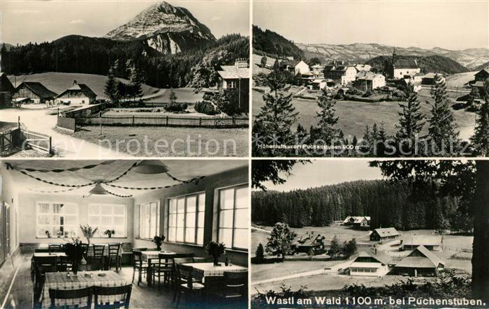 Puchenstuben Teilansichten Hoehenluftkurort Gaststaette Wastl am Wald Alpen