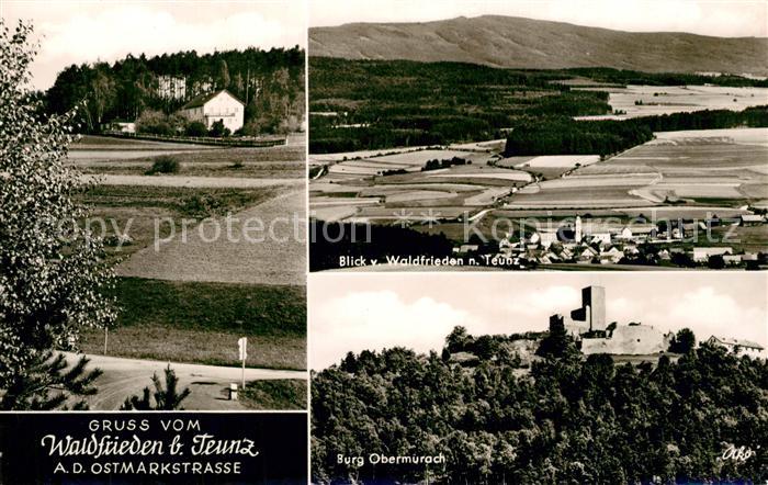 Teunz Pension Waldfrieden Landschaftspanorama Burg Obermurach